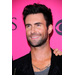 ADAM LEVINE